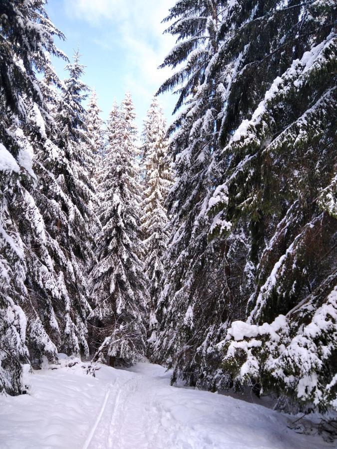 Ski Apartmany Spiezovec Donovaly Dış mekan fotoğraf
